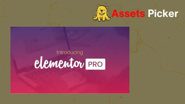 Elementor Pro v3.25.2 + 3.25.4 Plugin