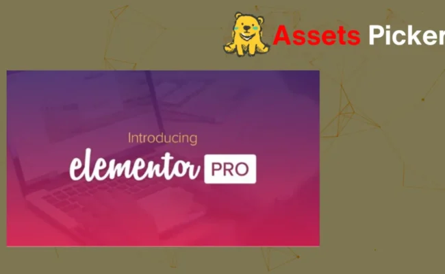 Elementor Pro v3.25.2 + 3.25.4 Plugin